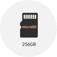 microSD 256GB